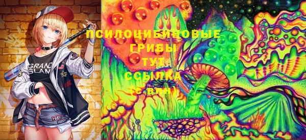 apvp Армянск