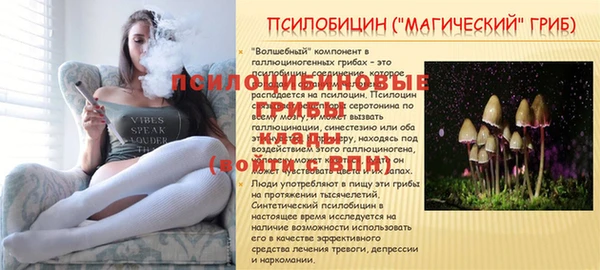 кокс Аркадак